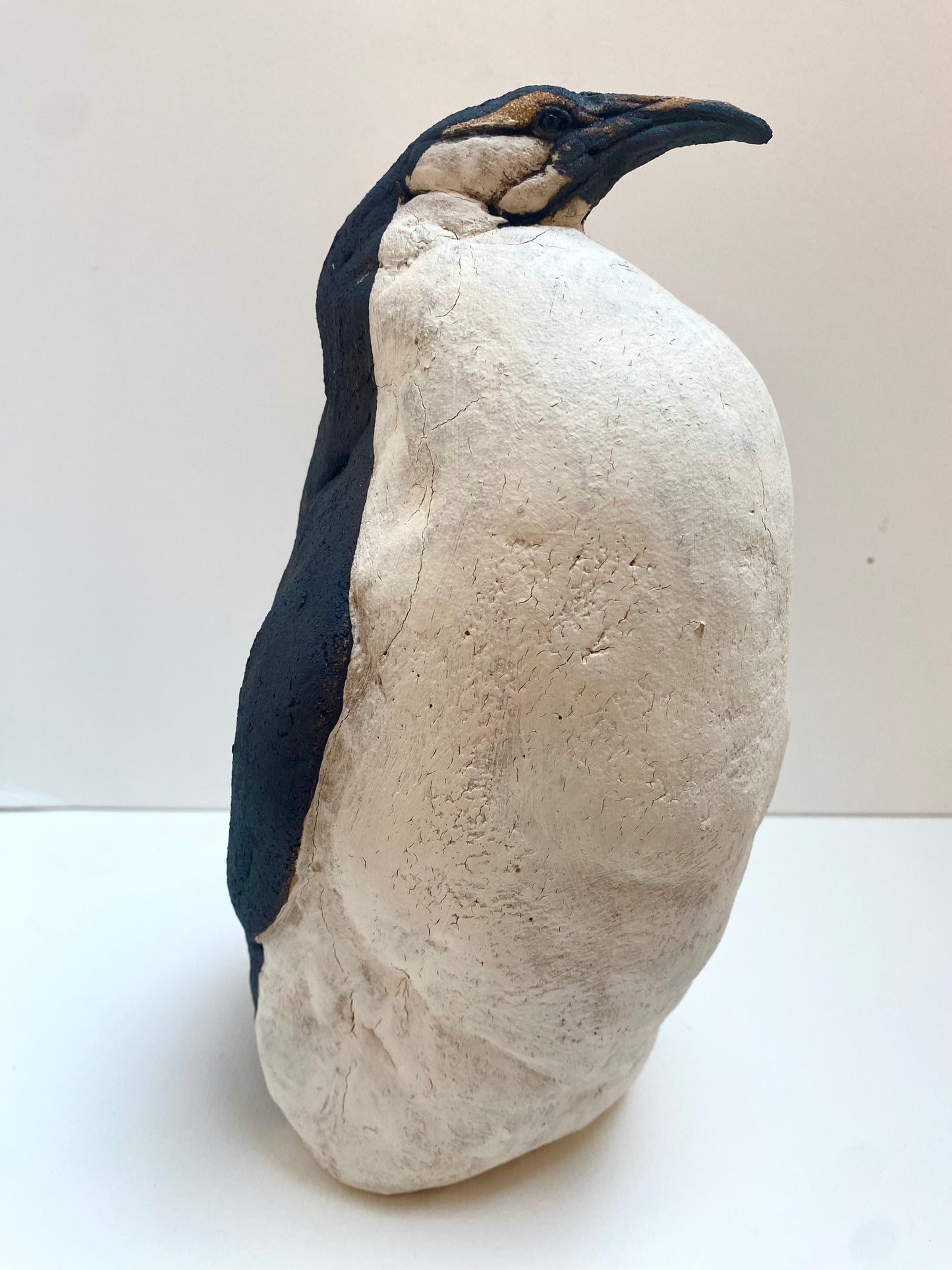 Emperor Penguin
